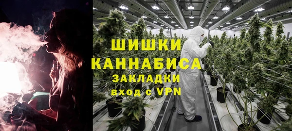 ГАЛЛЮЦИНОГЕННЫЕ ГРИБЫ Абинск