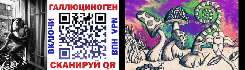 Галлюциногенные грибы Psilocybine cubensis  darknet Telegram  Чухлома  закладка 